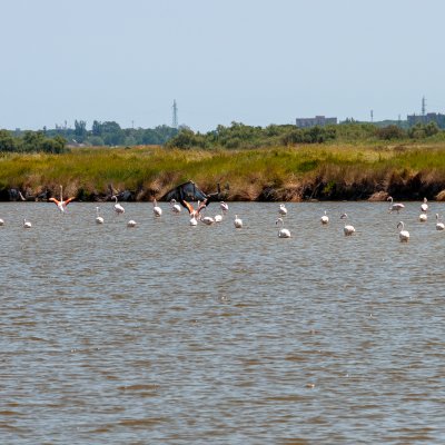 Comacchio 2026