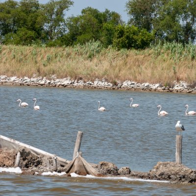 Comacchio 2026