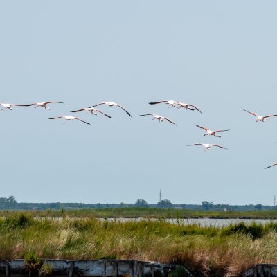 Comacchio 2026