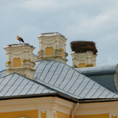 Riga