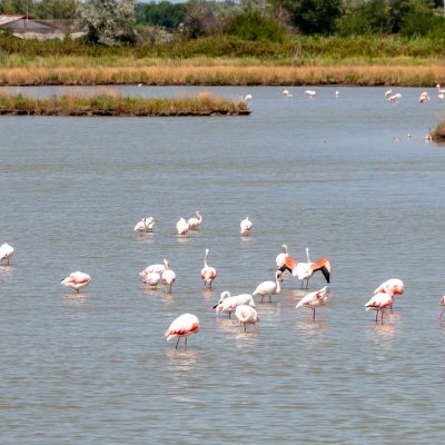 Comacchio 2026