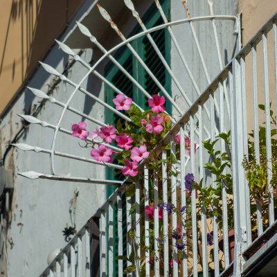 Ischia 2005