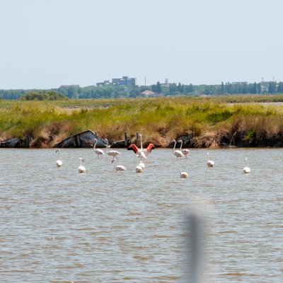 Comacchio 2026